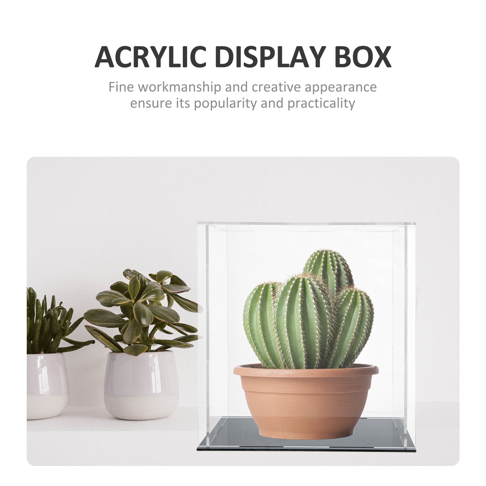 صندوق عرض أكريليك متين وشفاف و - مراجعة Display Case Acrylic وسعره